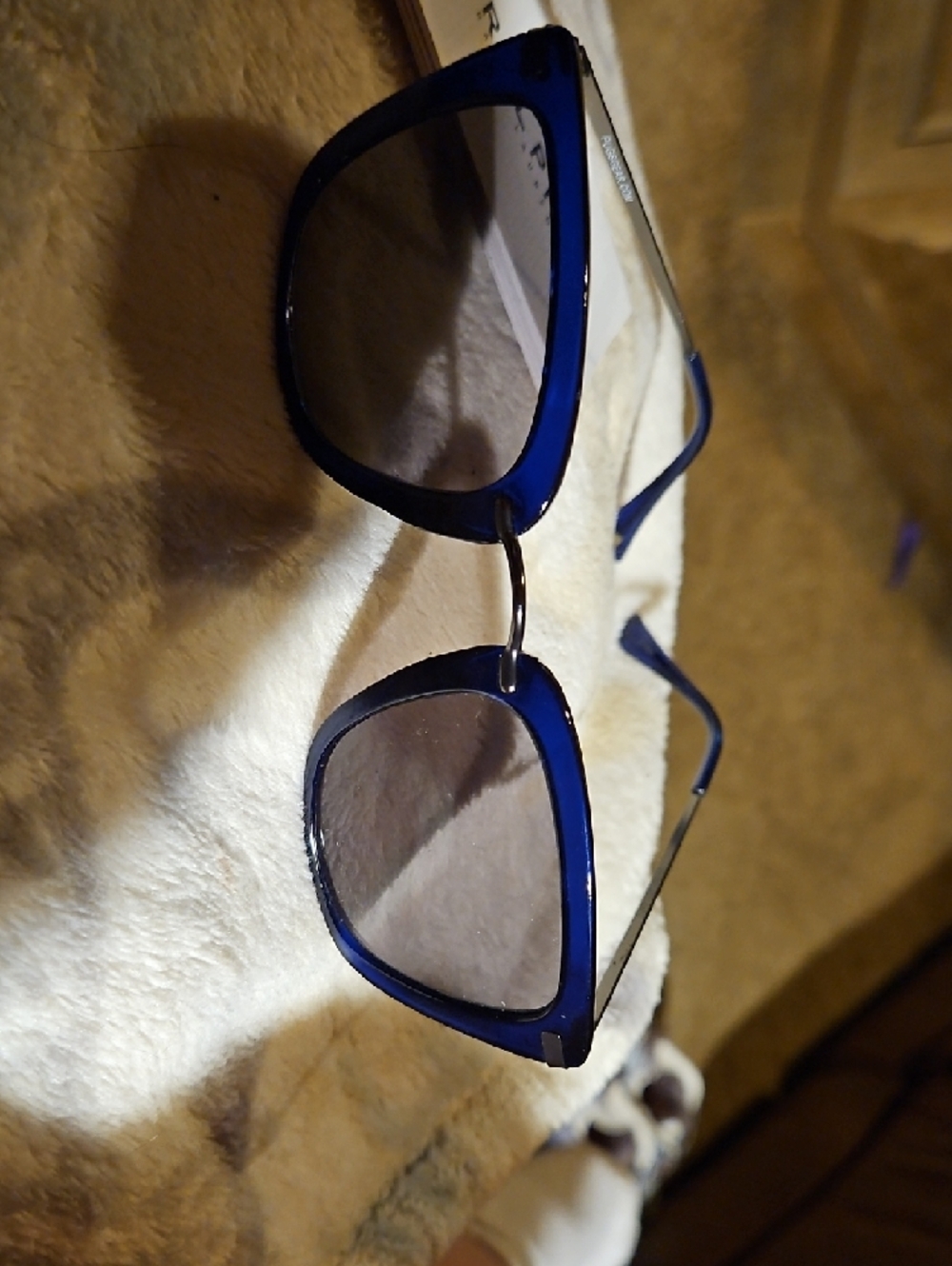 Ralph Lauren Black Hard Sunglasses Case